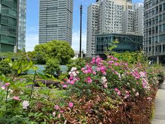 -公平路渡口(轮渡站)