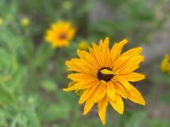 -奉浦四季生态园