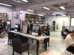 点击看大图 -T8 SALON