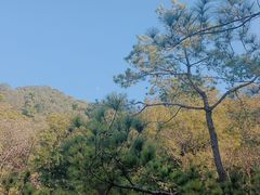 -云溪植物园