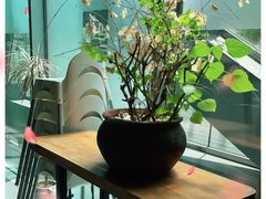 -半山腰·云南菜(侨福芳草地店)