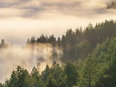 -红跑车HPCBAKERY(汉商店)