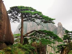-黄山风景区