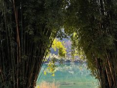 -温州永嘉书院