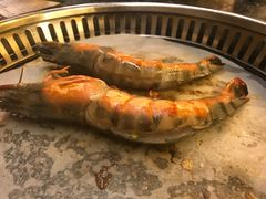 -熊出没日本烧肉放题