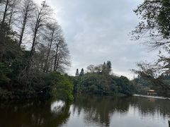 -深圳仙湖植物园