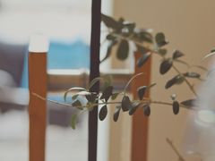 -Onirii Coffee(长乐路店)