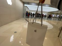 -Apple零售店(苏州店)