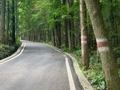 -山王坪喀斯特国家生态公园