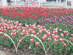 -玄武湖景区-情侣园游乐场