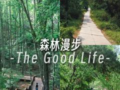 -青龙山国家森林公园