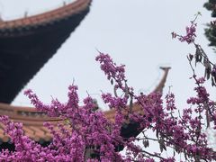 -苏州文庙(姑苏区)