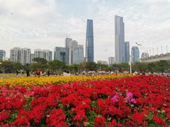 -海心沙亚运公园