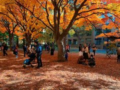 -成都濑川外国语学校