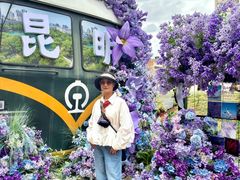 -南屏步行街