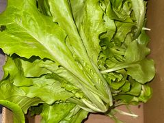 -马陆小张葡萄园农家乐