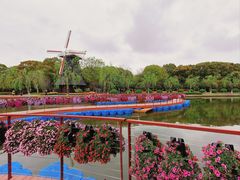 -上海鲜花港