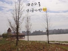 -九龙湖公园