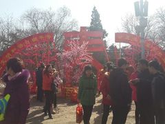 android_upload_pic-北京石景山游乐园