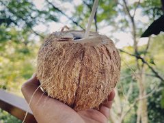 -万兴启丰椰子文化园餐厅