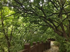-大连植物园