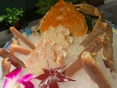 生鳕蟹腿涮锅-蟹将军·松叶蟹和牛日料放题自助(K11店)