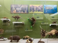 -国家自然博物馆