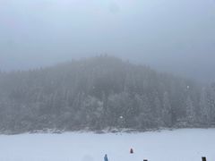 -武陵山森林公园