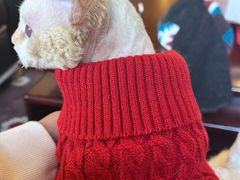 -上海闵行星河湾酒店