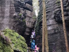 -梭布垭石林景区