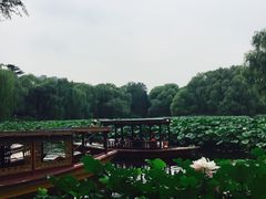 -紫竹院公园冰场
