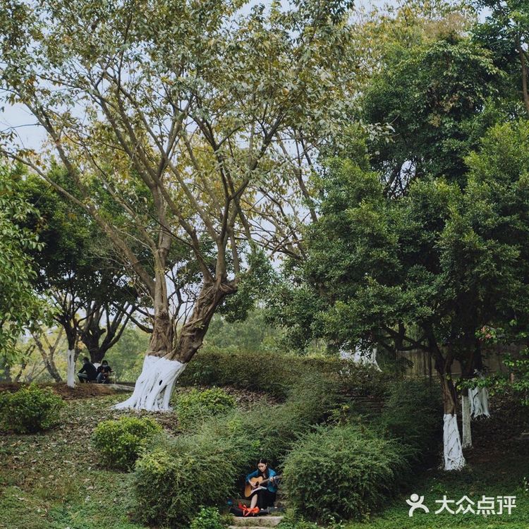 广州本地人去哪玩｜8个适合散步的公园