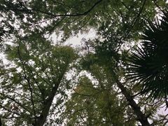 -兰溪青年公园
