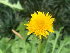 -广州神农草堂中医药博物馆