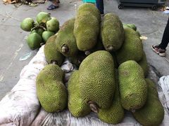 -双福水果批发市场