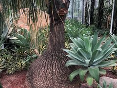 -南通洲际绿博园