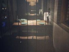 -淀里船宴(卓达店)