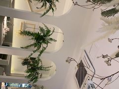 -春树下·树屋花房西餐厅(罍街AS1980店)