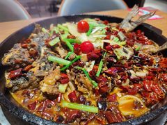 -老板恋上鱼(恒隆广场店)