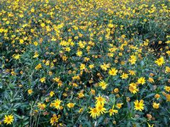 -香山公园-东宫门售票处