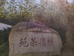 -北京凤凰岭
