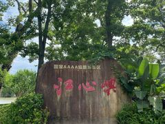 -江心屿景区