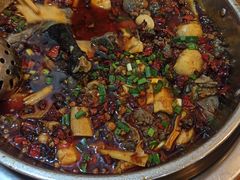 -黑竹香鸡(营和巷店)