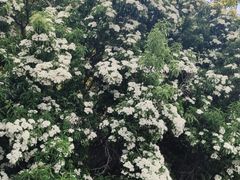 -蒋氏故居