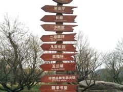 -秀丽东方