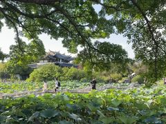 -江心屿景区