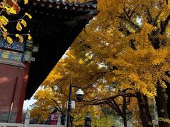 -红螺寺