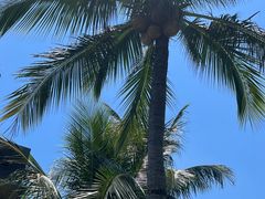 -海口骑楼老街历史文化街区