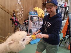 -藦茜花园宠物主题亲子互动体验馆(国顺东路店)