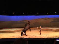 -cavalia·舞马